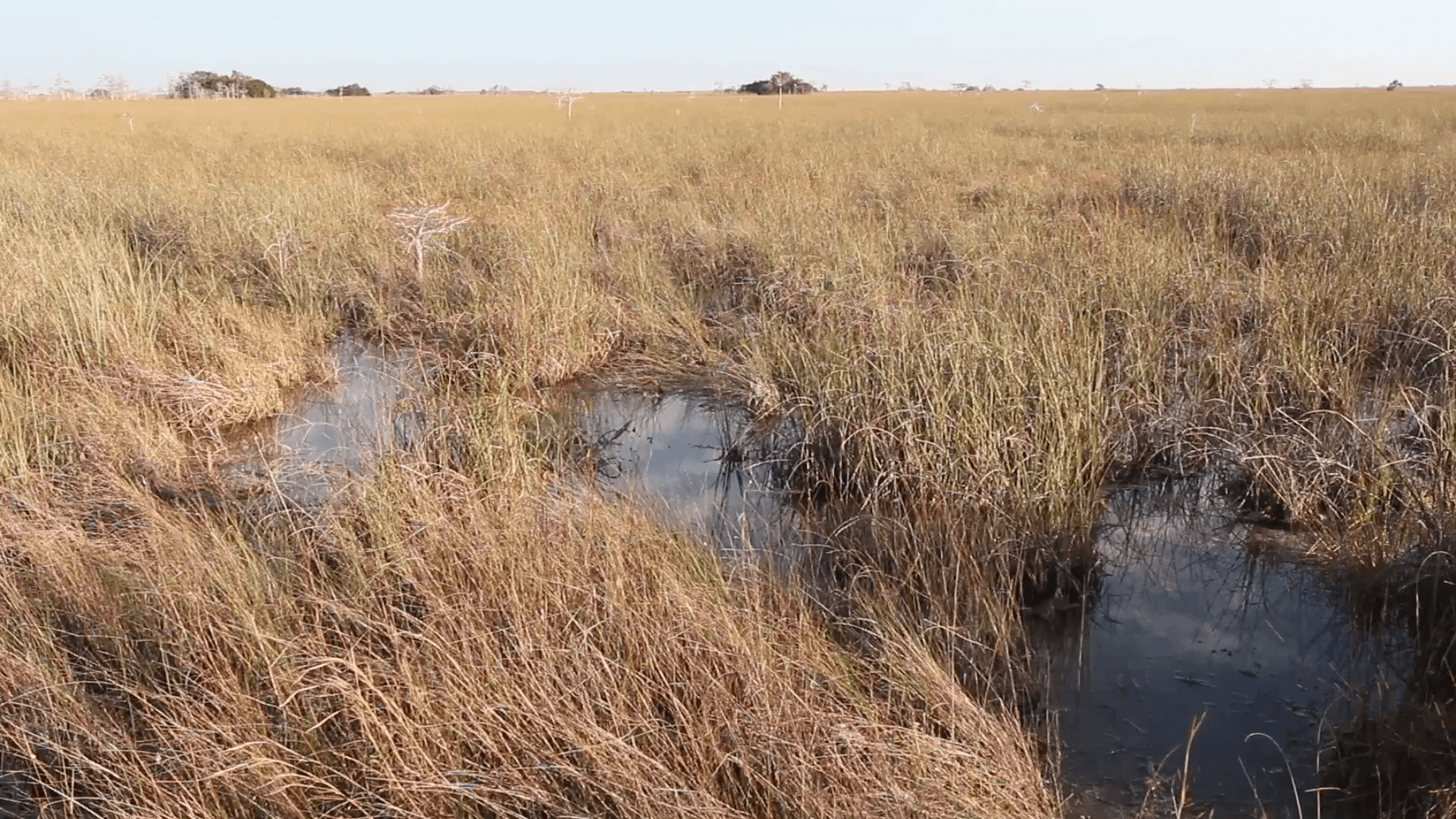 Pahayokee Overlook trail, Everglades National Park, Florida Stock