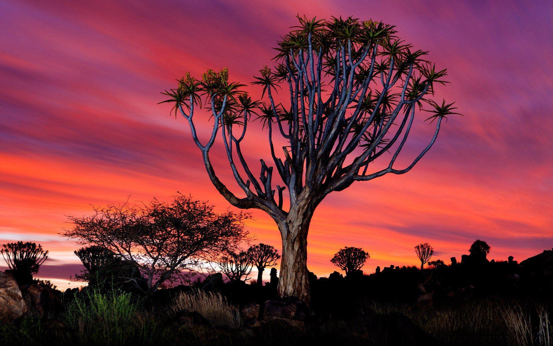 6 Namibia HD Wallpapers