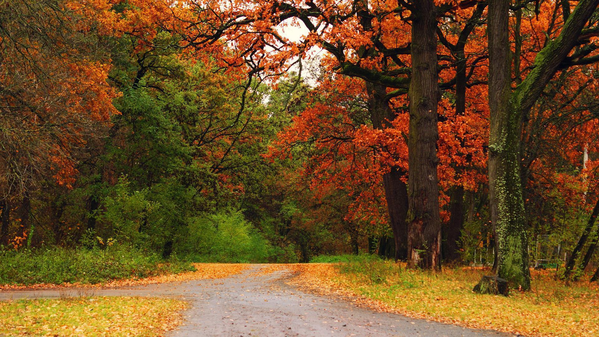 North Carolina Backgrounds Wallpapers