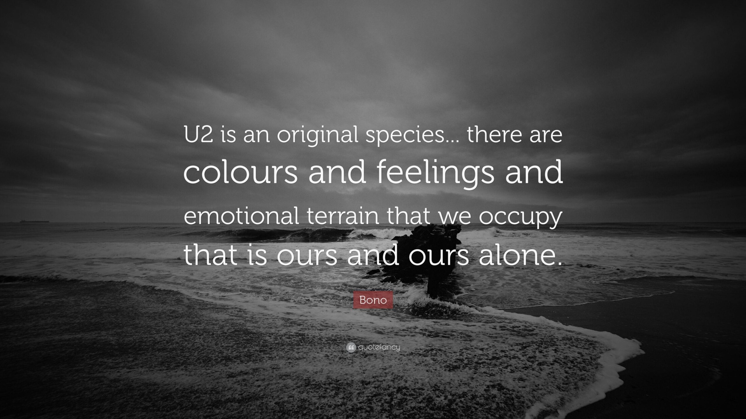 Bono Quotes