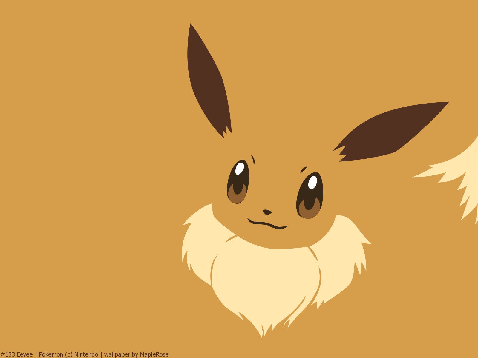 pokemonfan100’s everything about pokemon! image Eevee Wallpapers