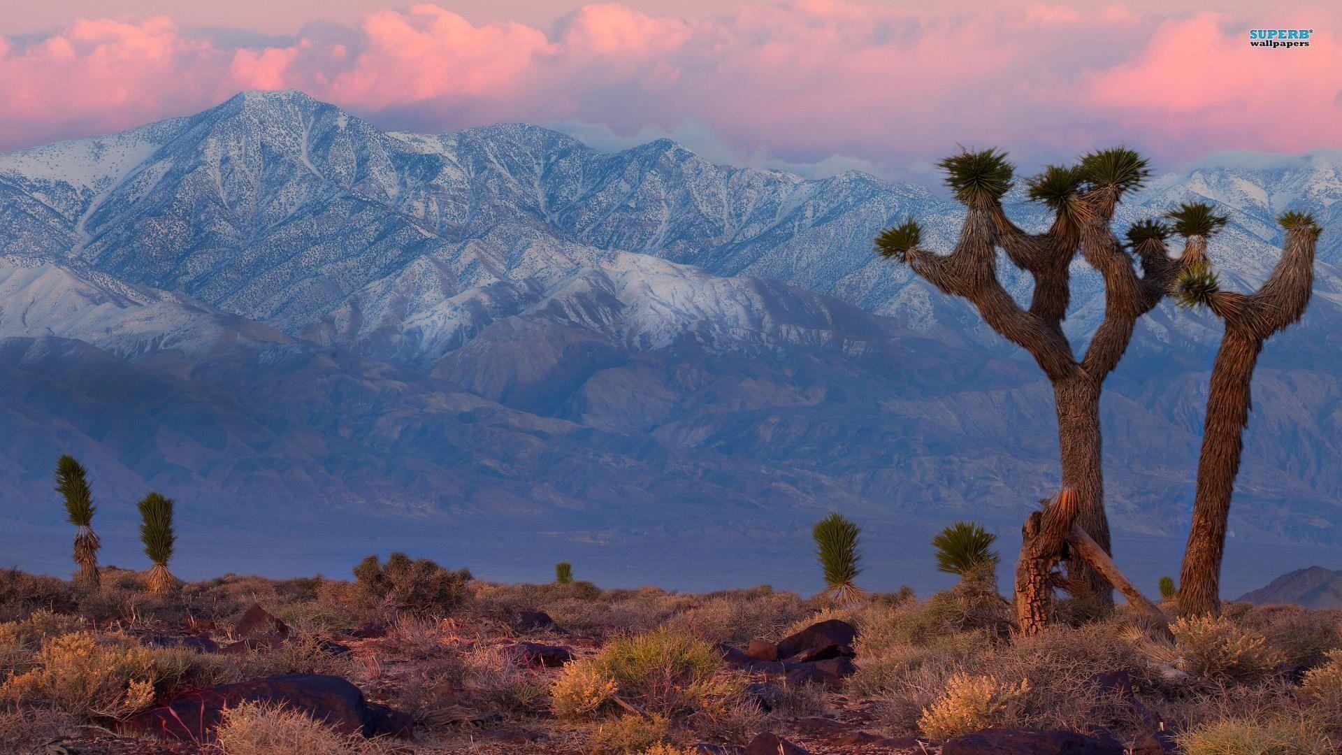 Wallpapers California Desert