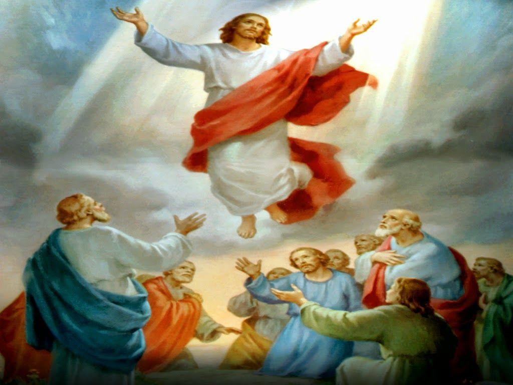 Holy Mass image…: THE ASCENSION OF JESUS