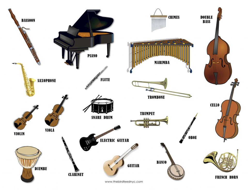 Musical Instrument Families