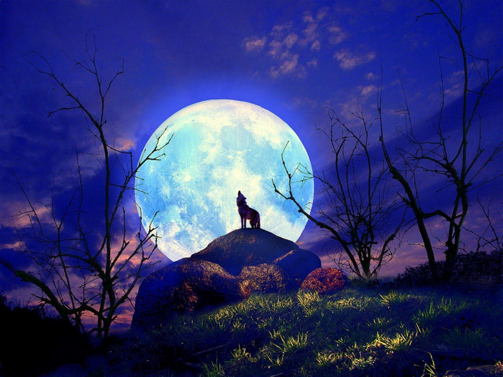 Full Moon Wolf Howling Wallpapers