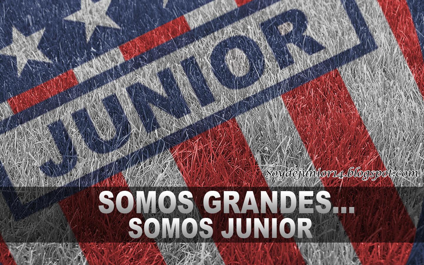 JUNIOR MANDA