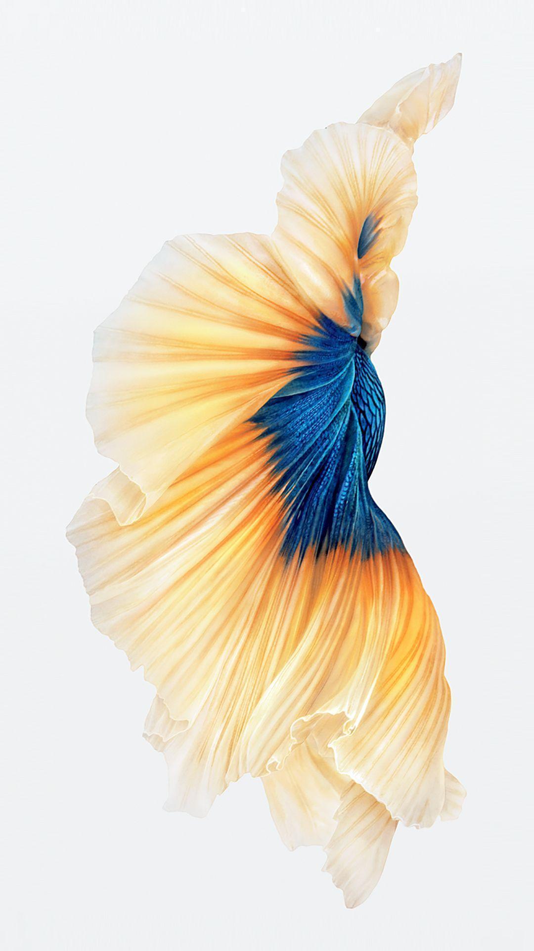 iPhone 6s still wallpapers image