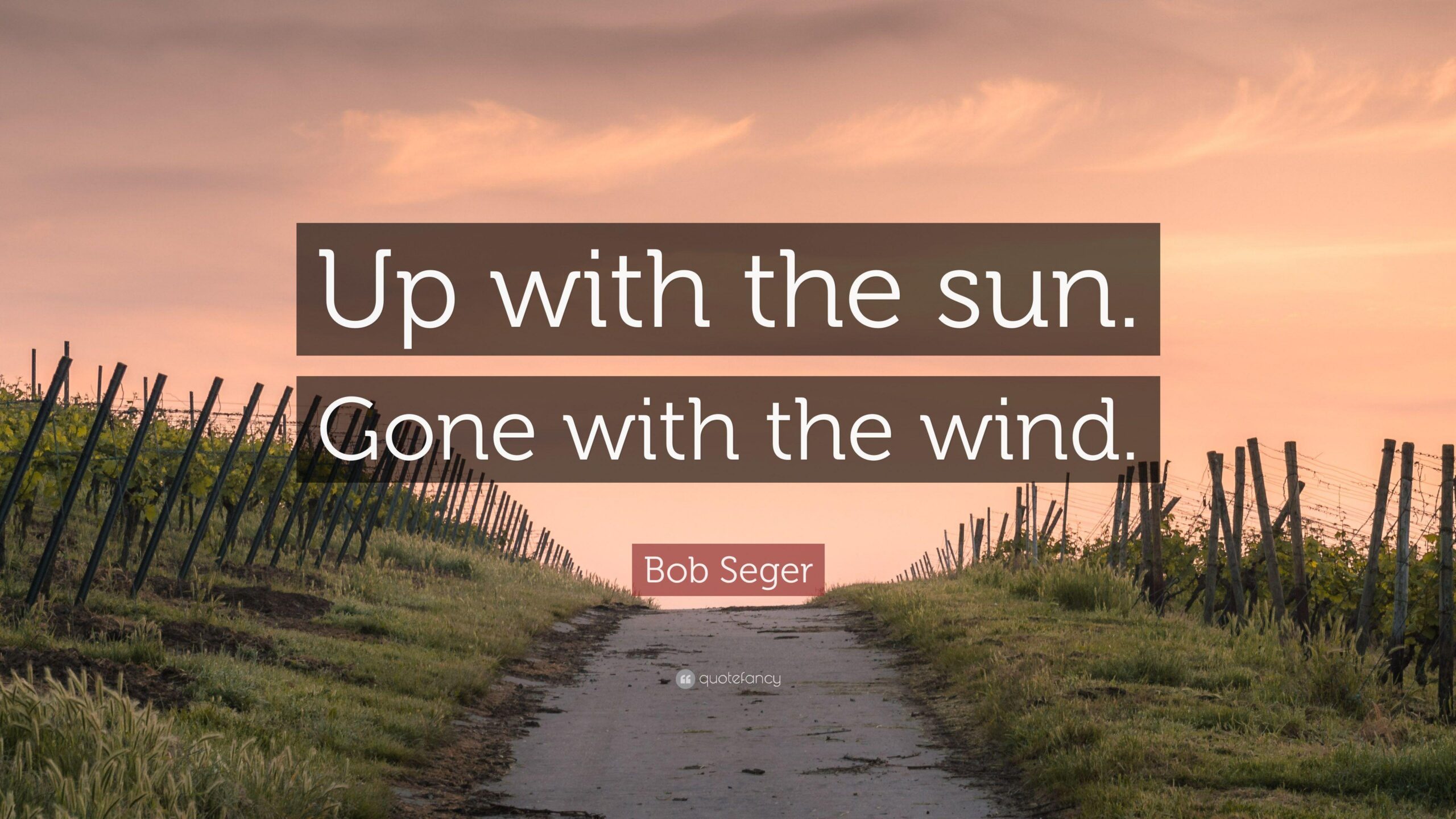 Bob Seger Quote: “Up with the sun. Gone with the wind.”