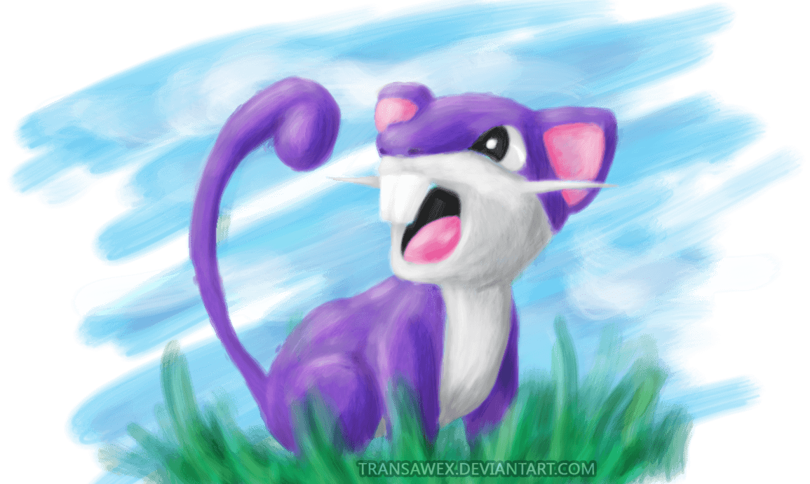 RATTATA by transawex