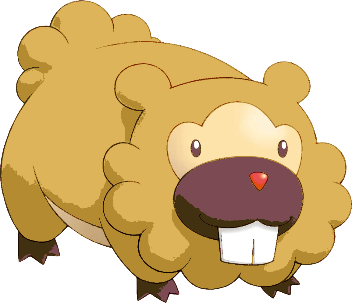 Bidoof Pictures