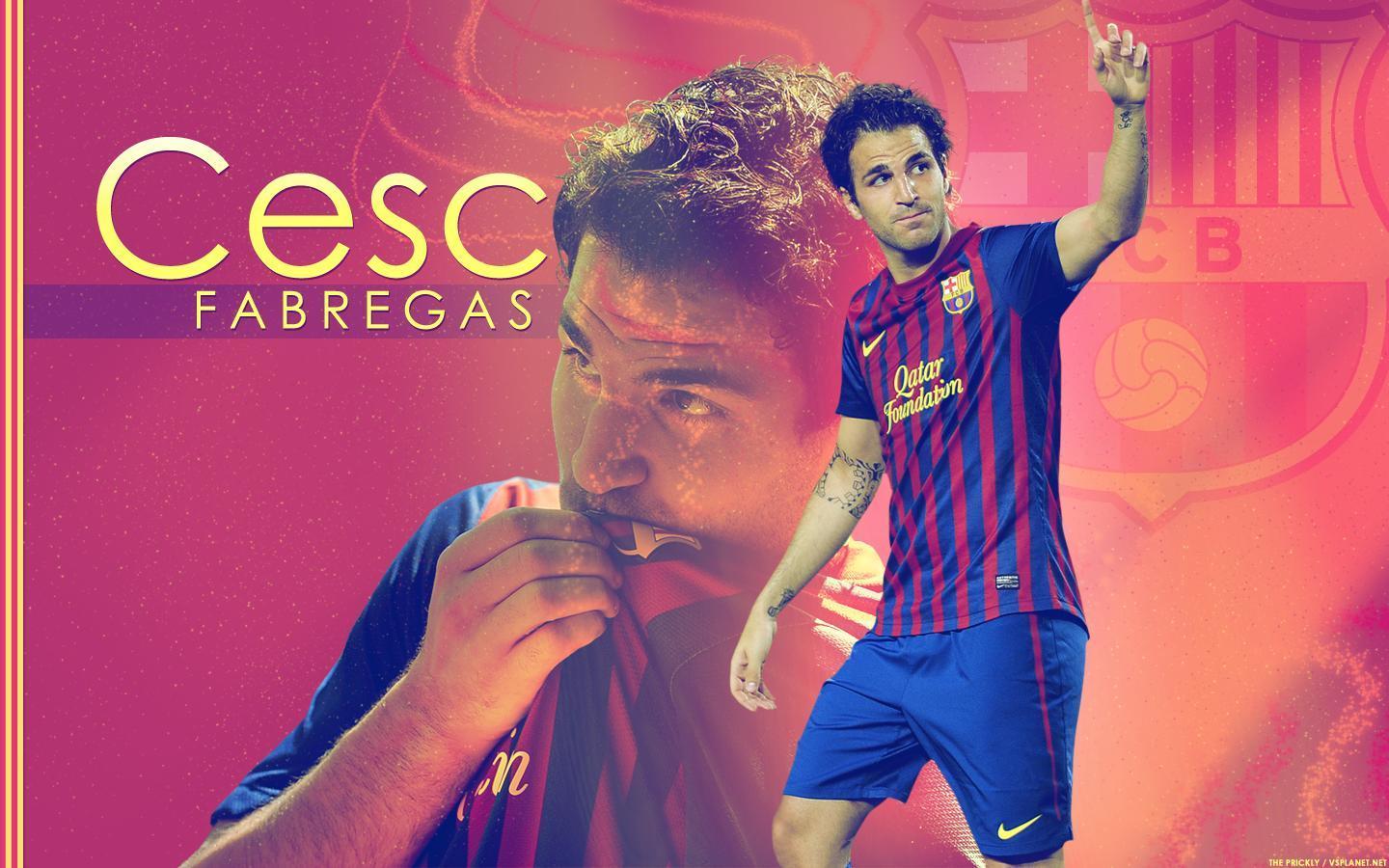 Cesc Fabregas HD Desktop Backgrounds Wallpapers