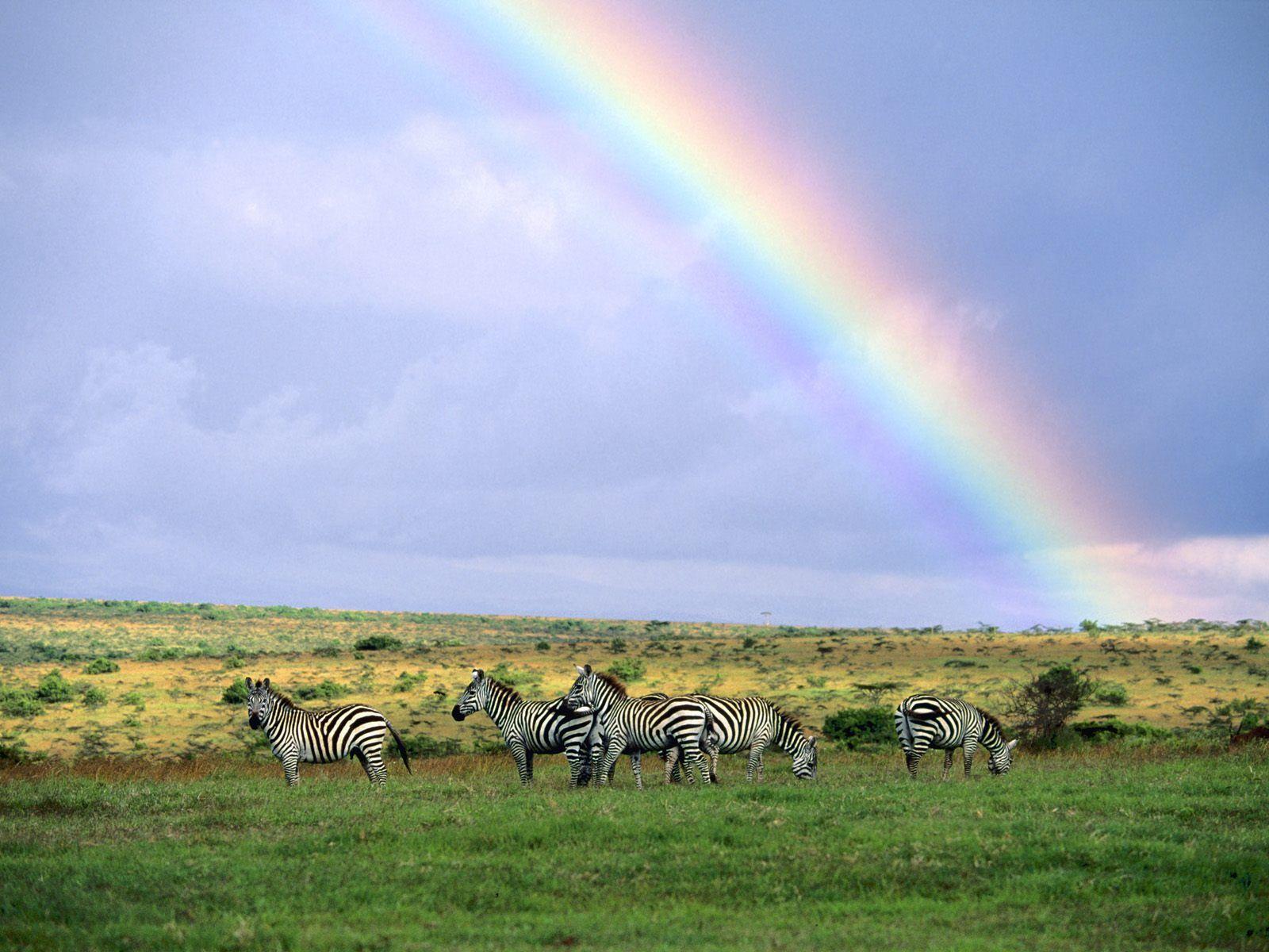 After The Storm Kenya Africa