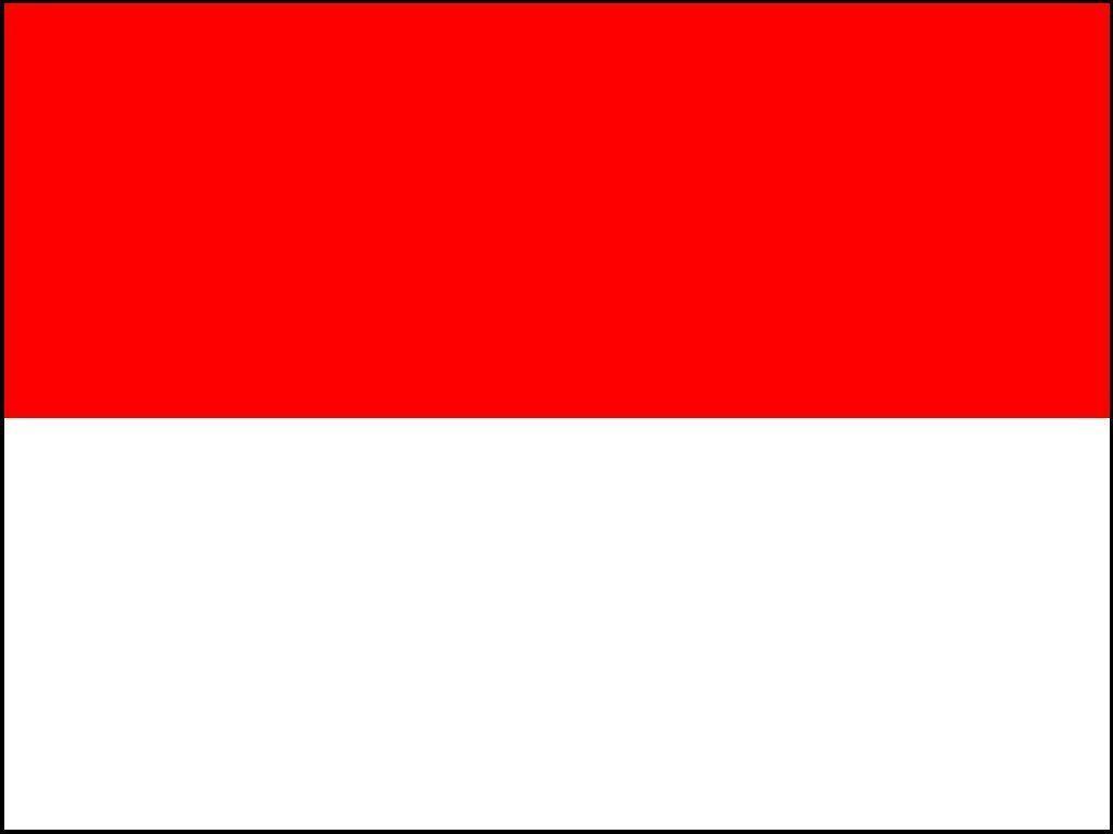 Indonesia Flag Image