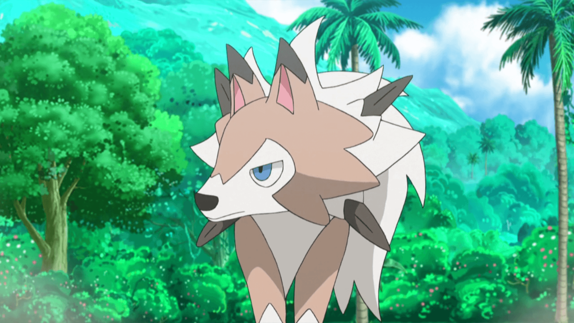 Serena’s Lycanroc