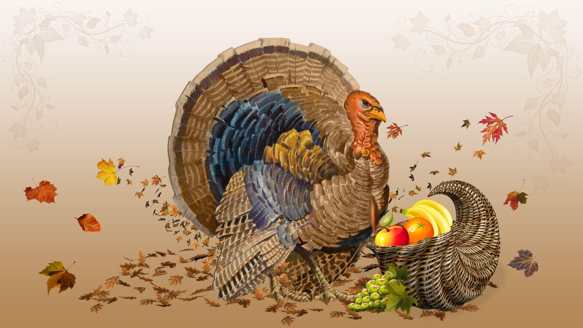 Turkey Wallpapers Free