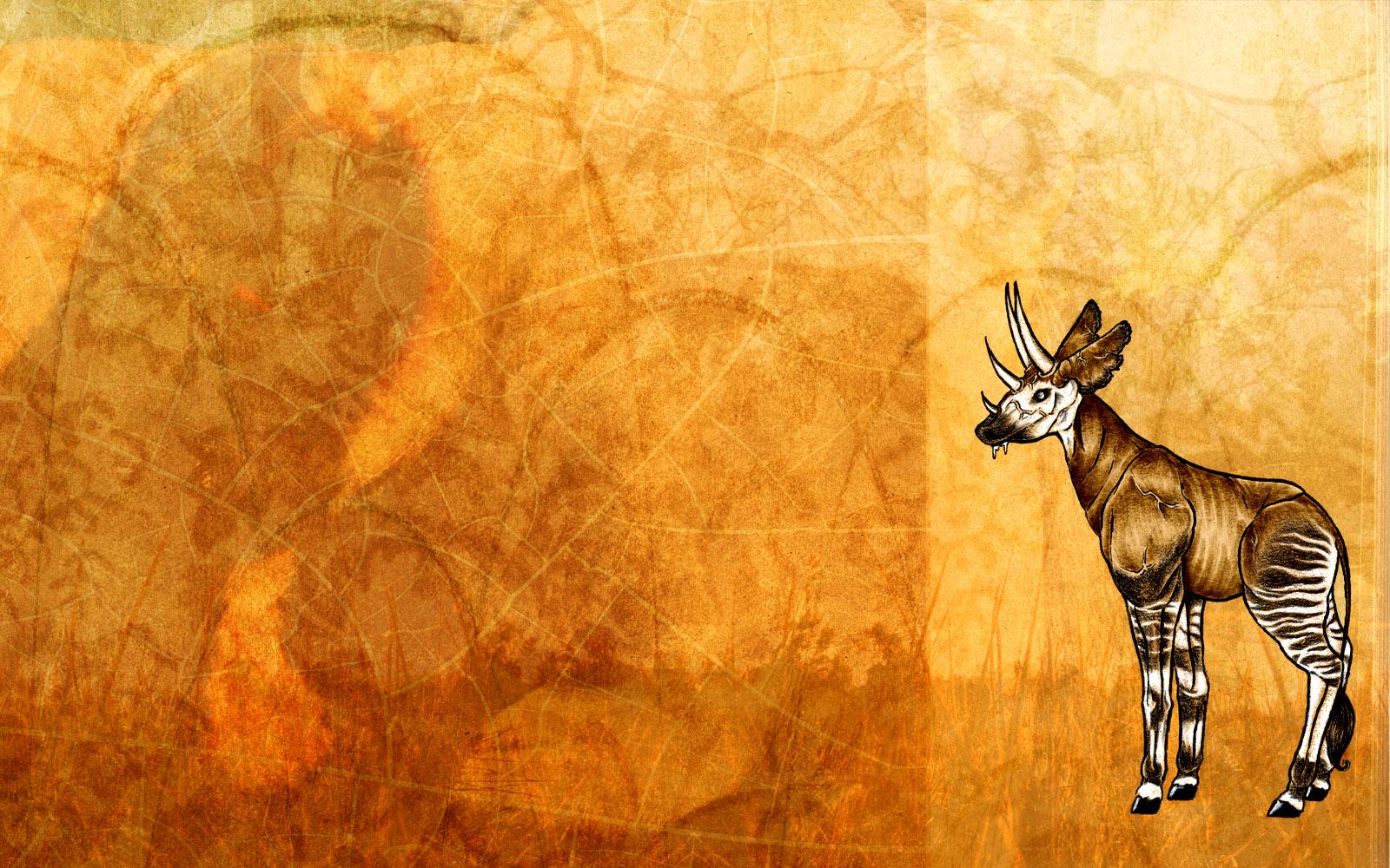 Best 56+ Okapi Backgrounds on HipWallpapers