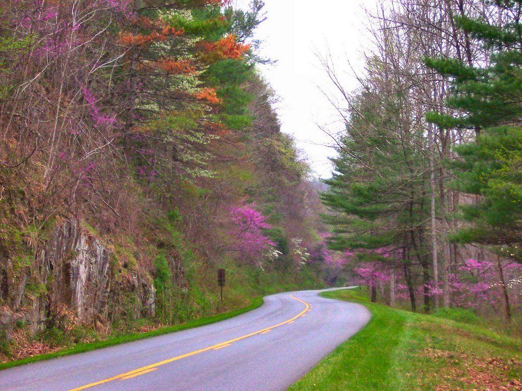 Blue Ridge Gazette: Spring on the Blue Ridge Parkway of Virginia