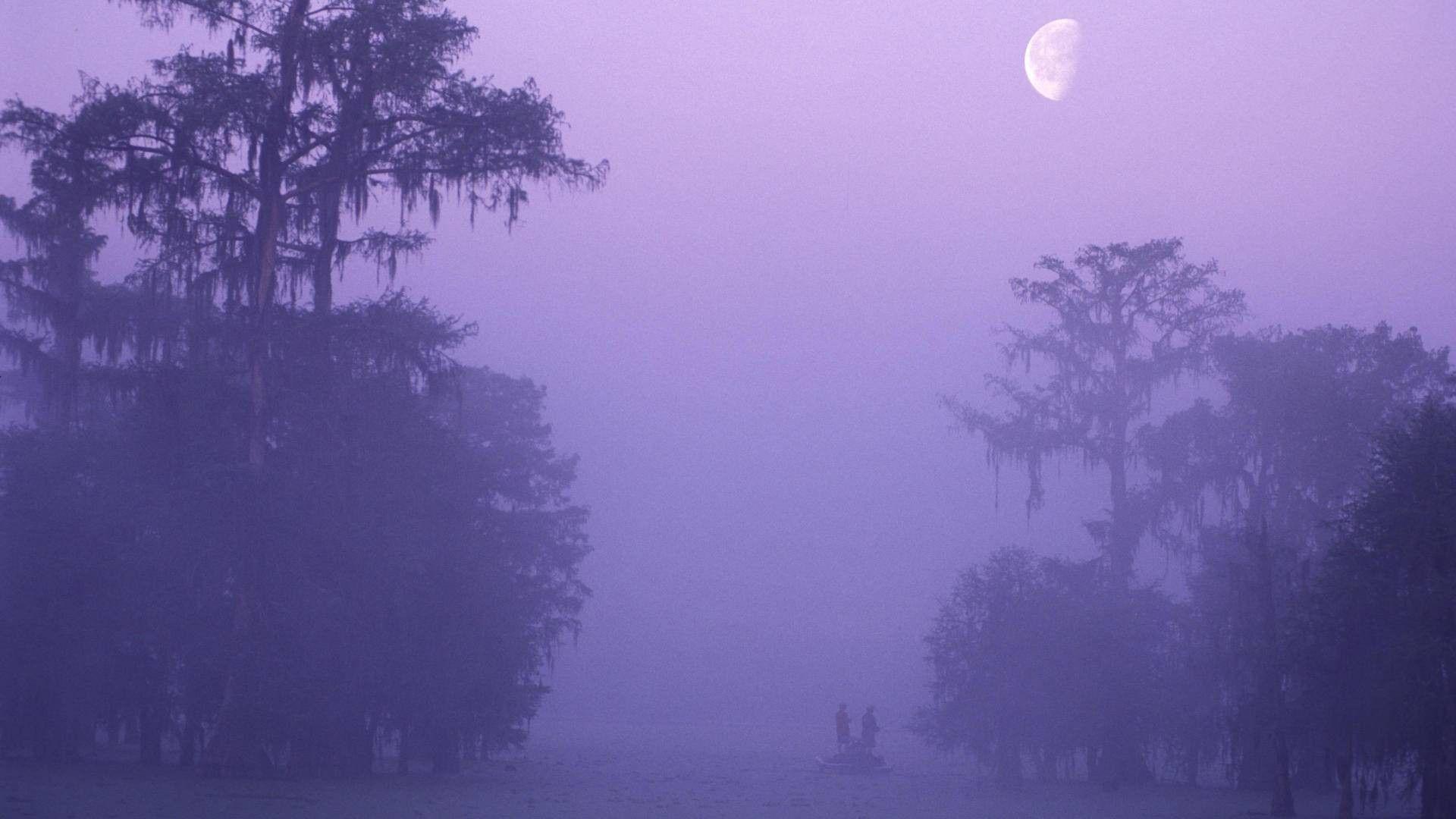 Bayou Tag wallpapers: Louisiana Hole Bayou Secret Mist Fishemen