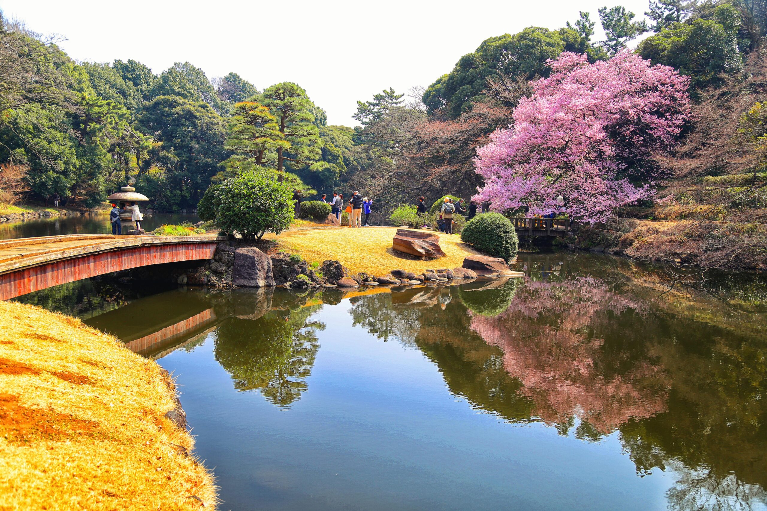 Shinjuku Gyoen Garden 5k Retina Ultra HD Wallpapers