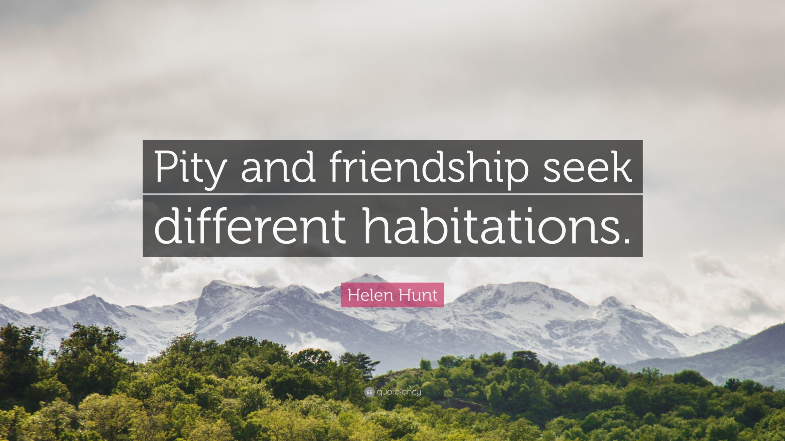 Helen Hunt Quote: “Pity and friendship seek different habitations