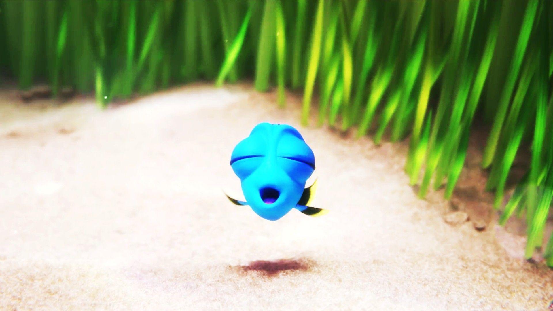 Finding Dory Wallpapers HD Backgrounds, Image, Pics, Photos Free