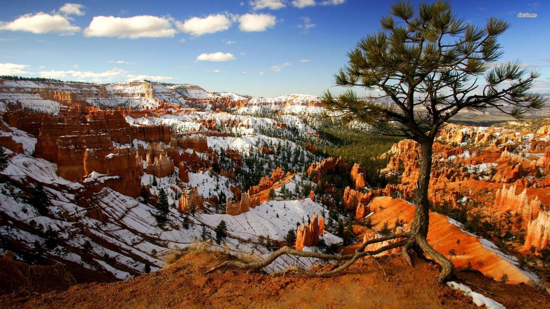 Snow In Bryce Canyon National Park