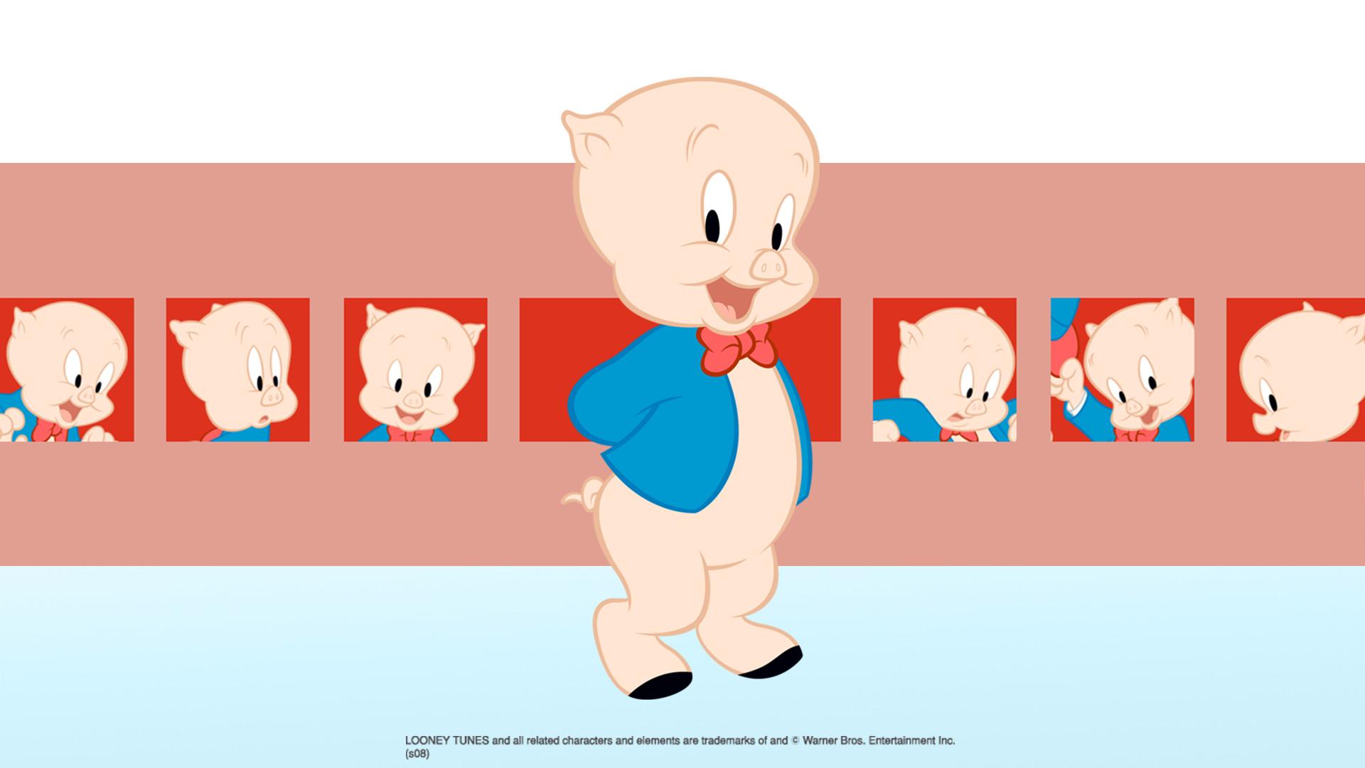 Porky Pig Wallpapers and Backgrounds Image