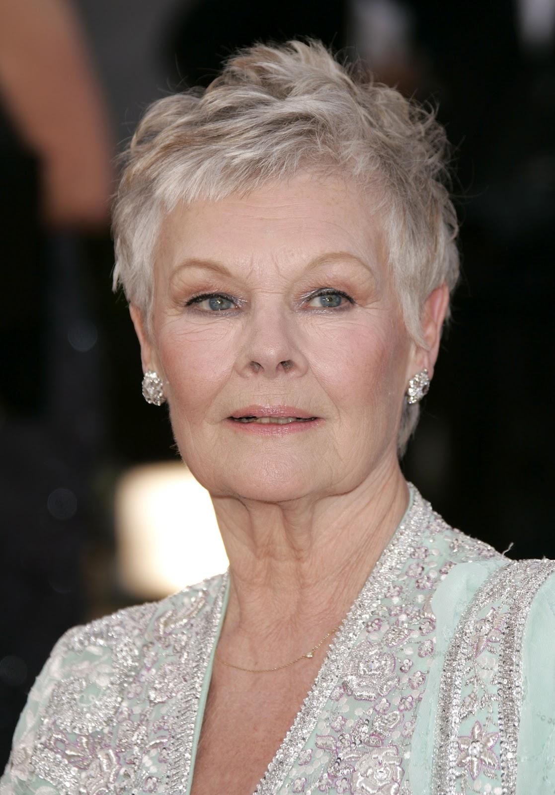 Fallen by Lauren Kate image Judi Dench Miss Sophia HD wallpapers