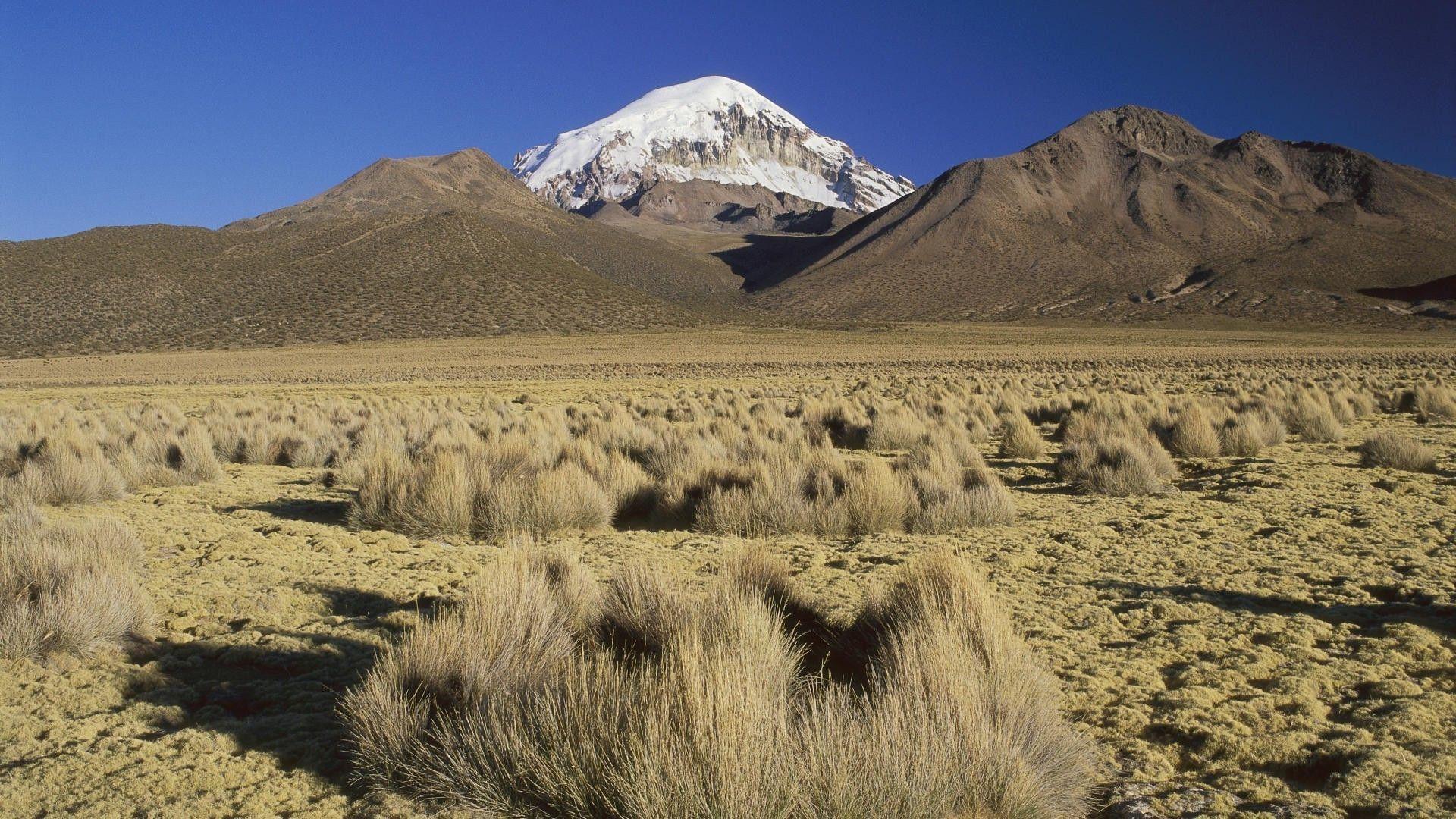 nature, Landscape, Mountain, Bolivia, Snow, Valley, Plants, Hill