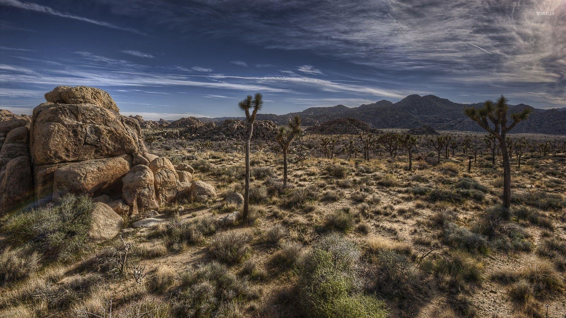 Joshua Tree National Park [5] wallpapers