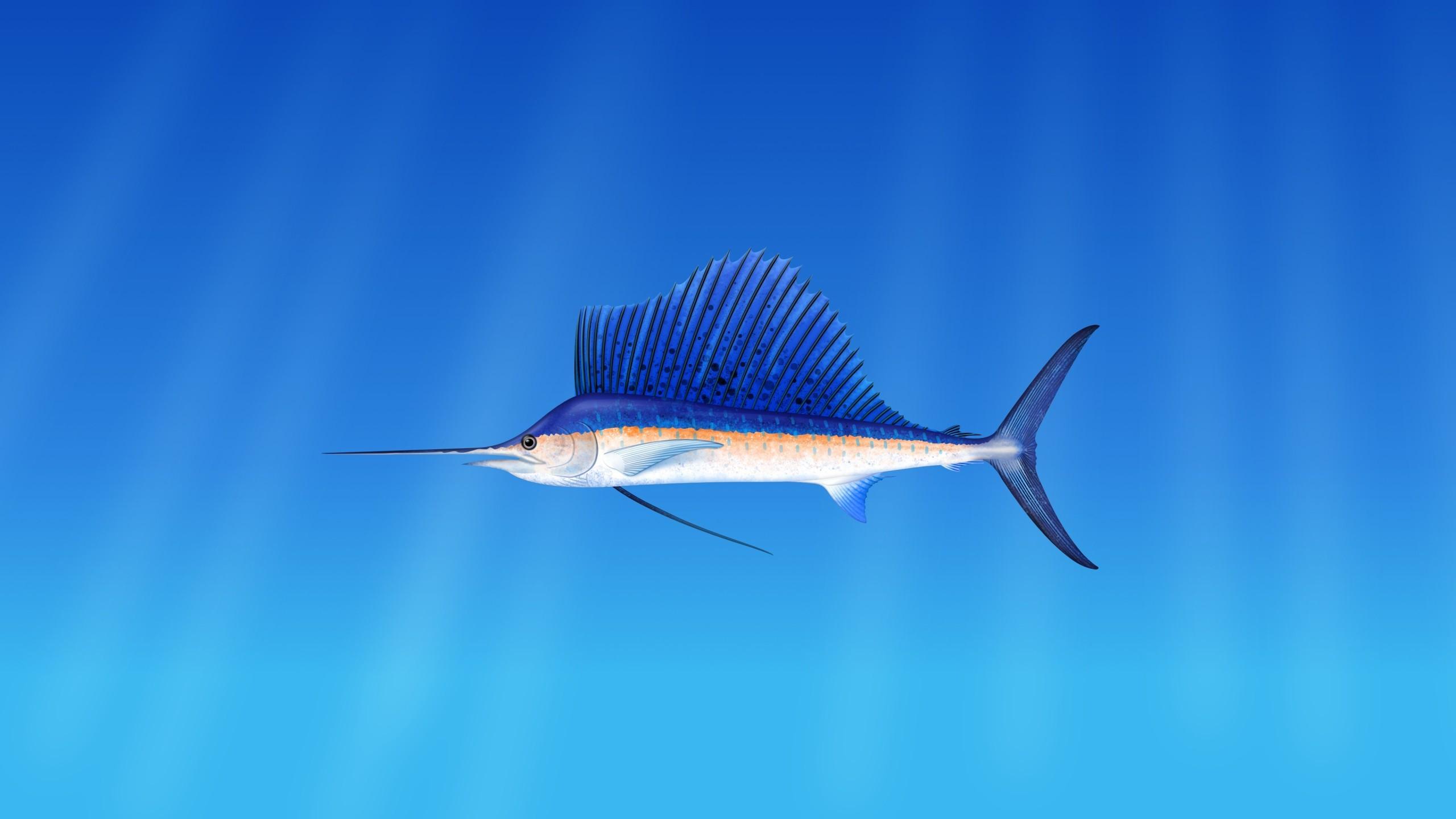 Download Swordfish, Underwater Wallpapers for iMac