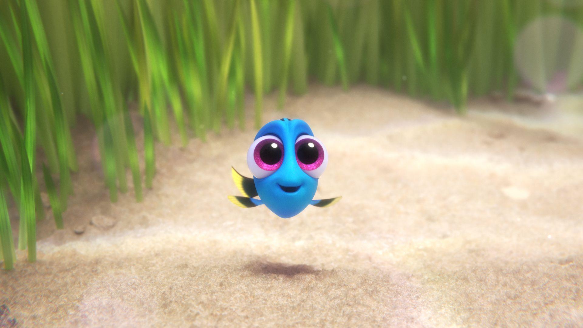 Finding Dory Computer Wallpapers, Desktop Backgrounds