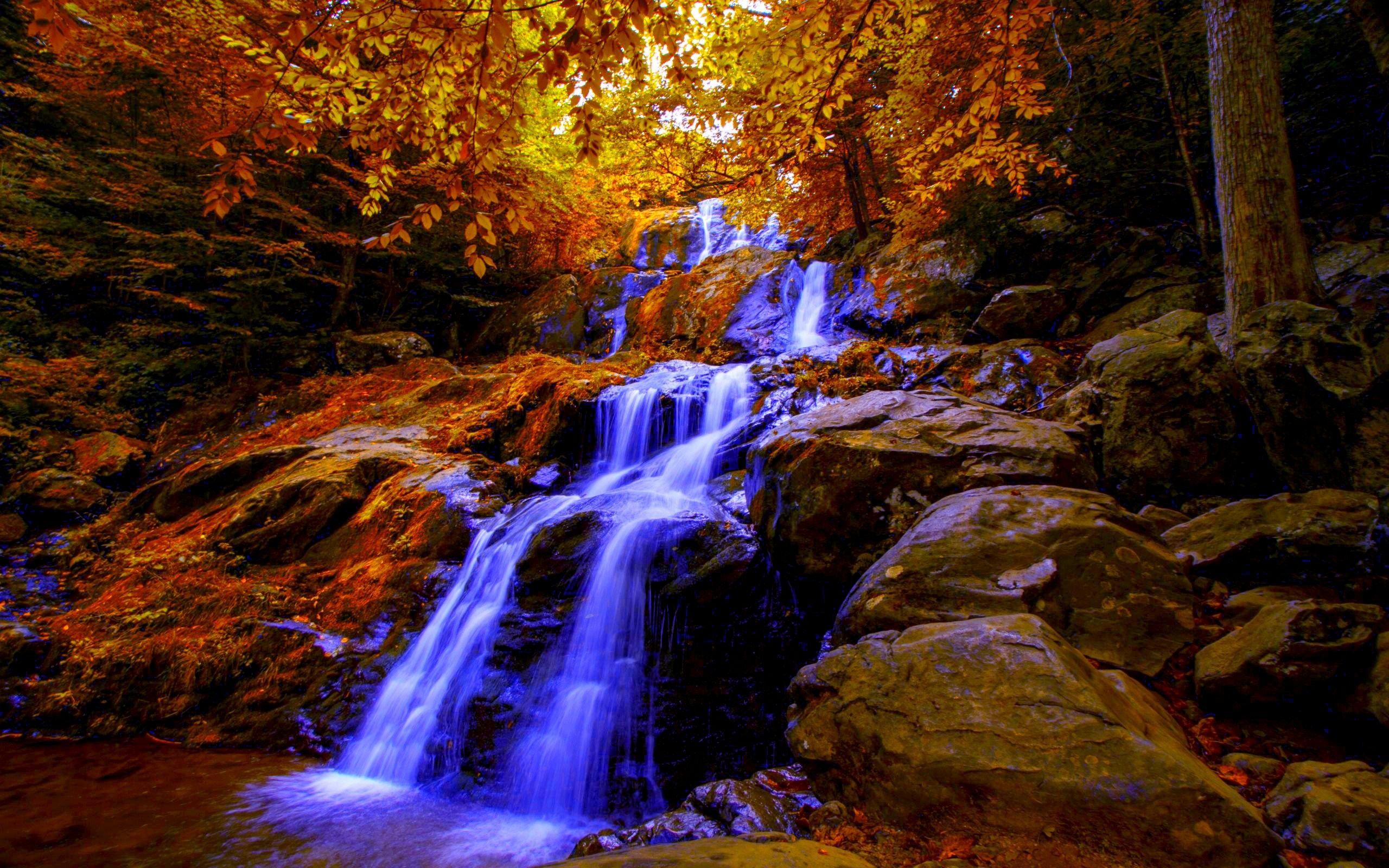 Waterfalls: AUTUMN FALLS Dark Hollow River Stream Virginia USA