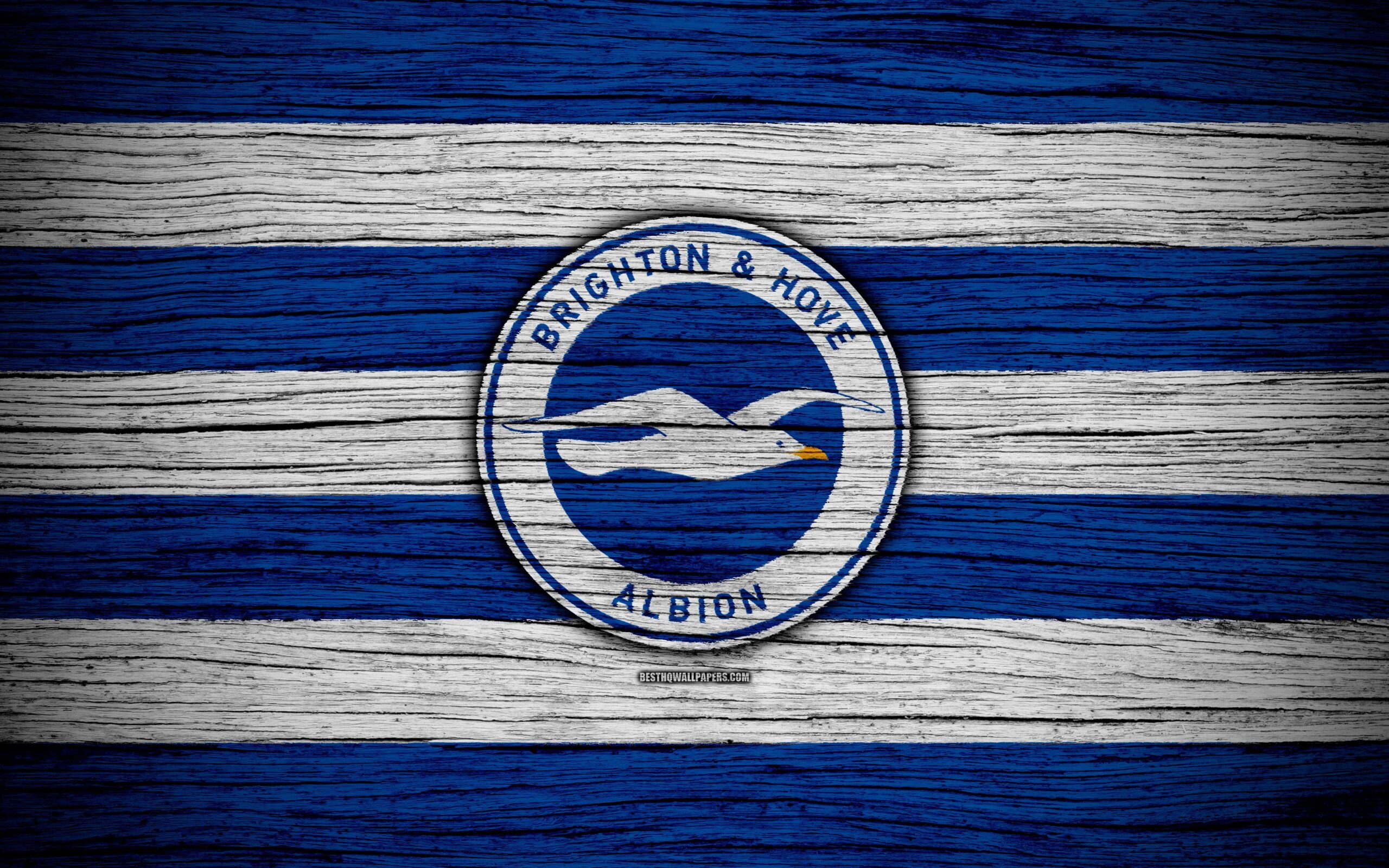 Download wallpapers Brighton and Hove Albion, 4k, Premier League