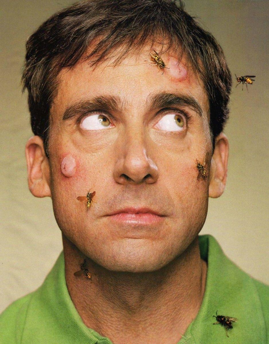 Steve Carell photo 1 of 43 pics, wallpapers