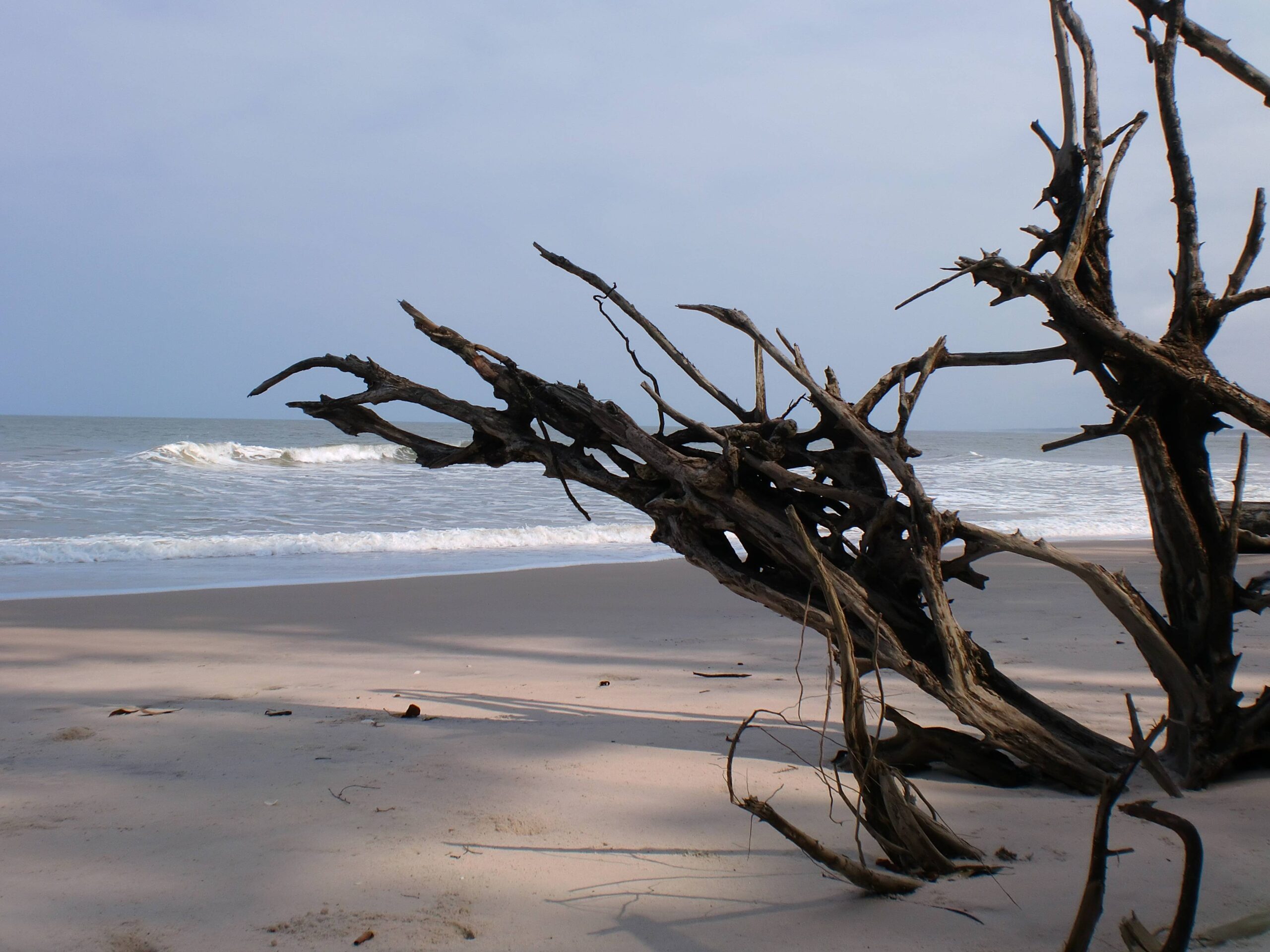 My own photo of the shores of Gabon, Africa. [] : wallpapers