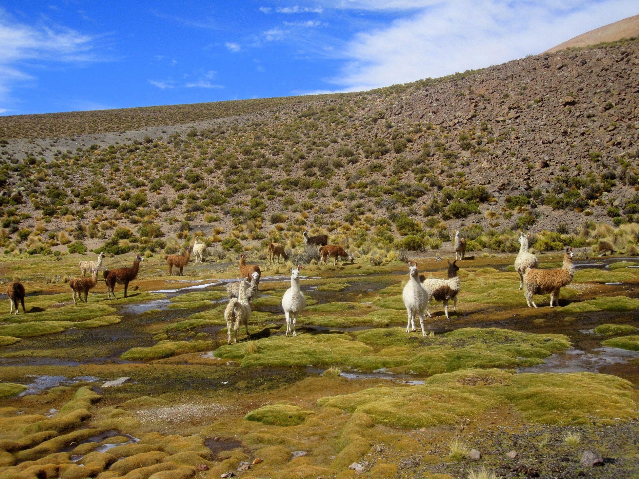 Salar de Uyuni