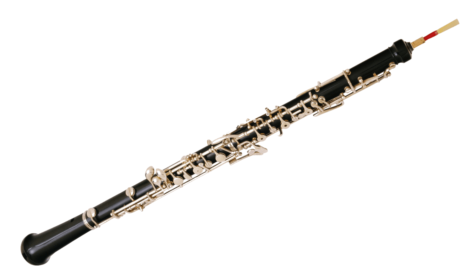 Oboe 6 » Image