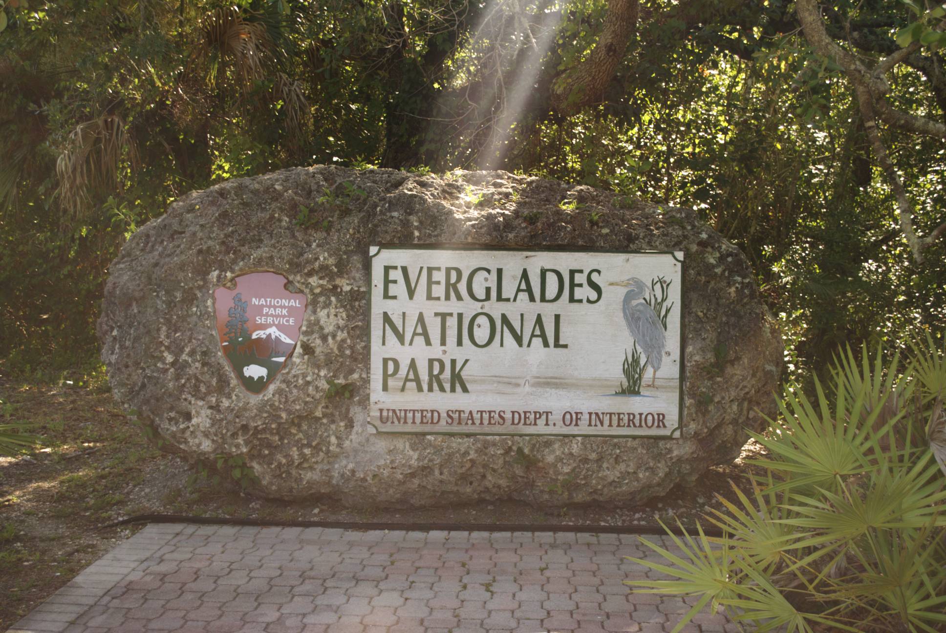 Exploring Everglades National Park in Miami