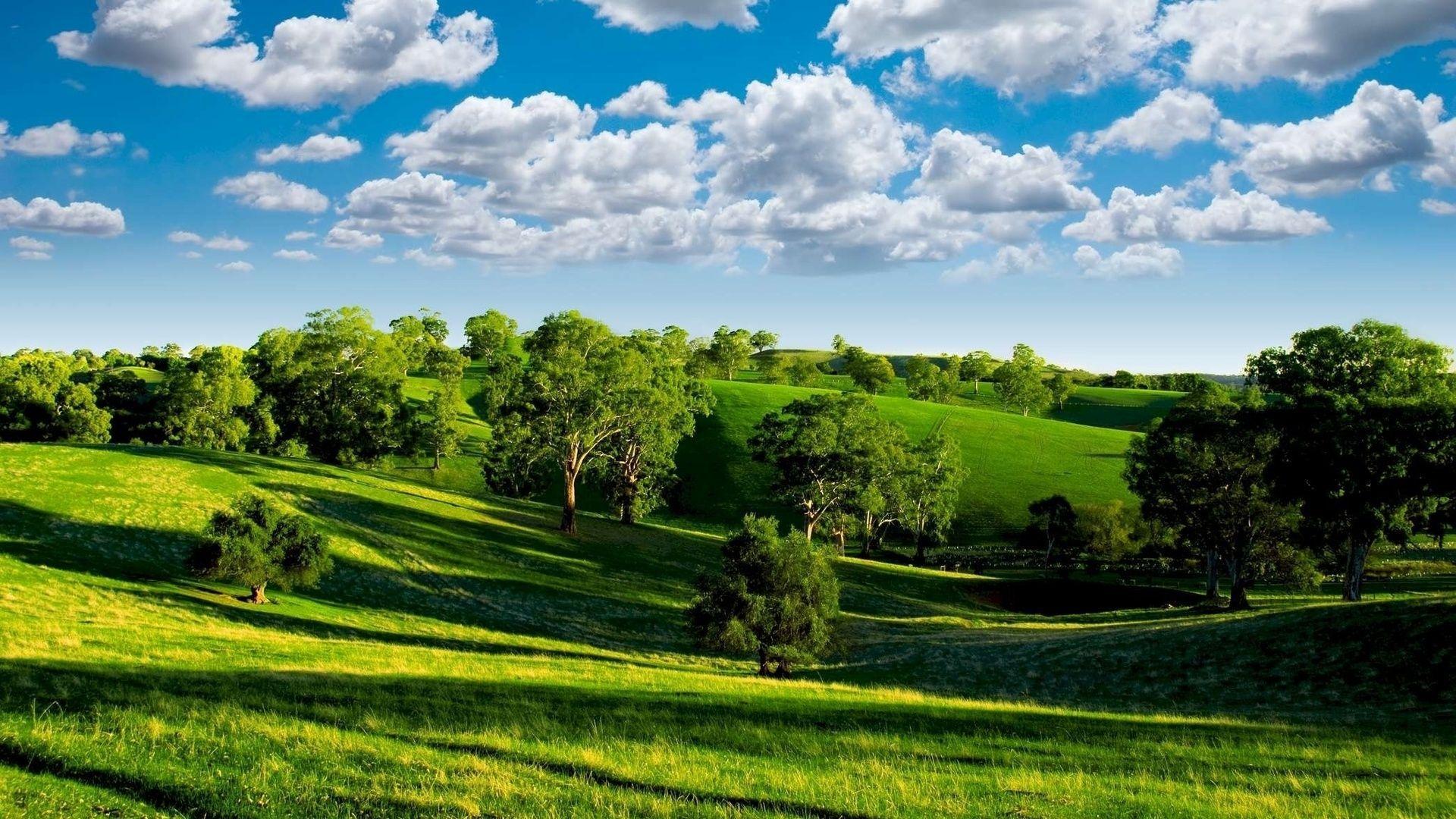 Download Wallpapers Summer, Hills, Trees, Green, Meadows