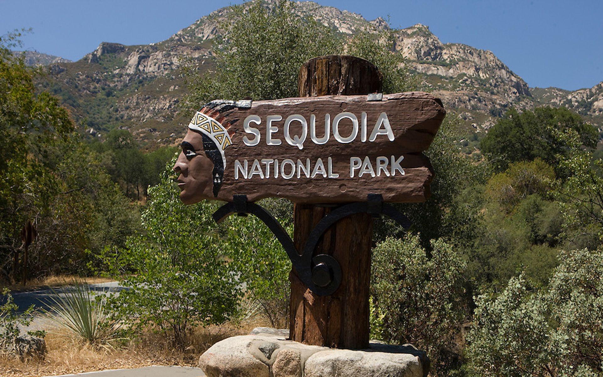 41+ Sequoia National Park Wallpapers, Top Ranked Sequoia National