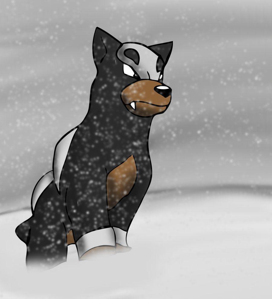 Houndour on Houndour