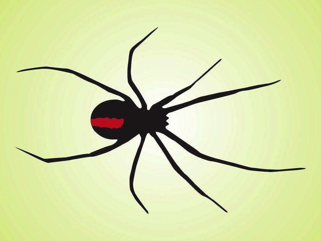 Black Widow Spider Vector Art & Graphics