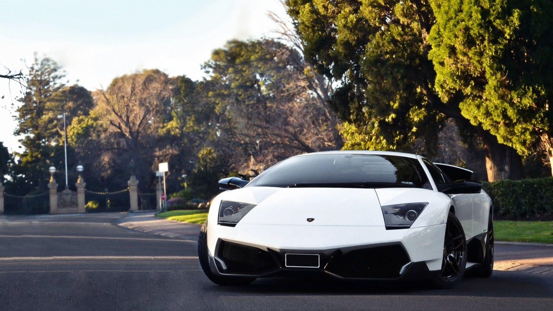 Lamborghini Murcielago Wallpapers