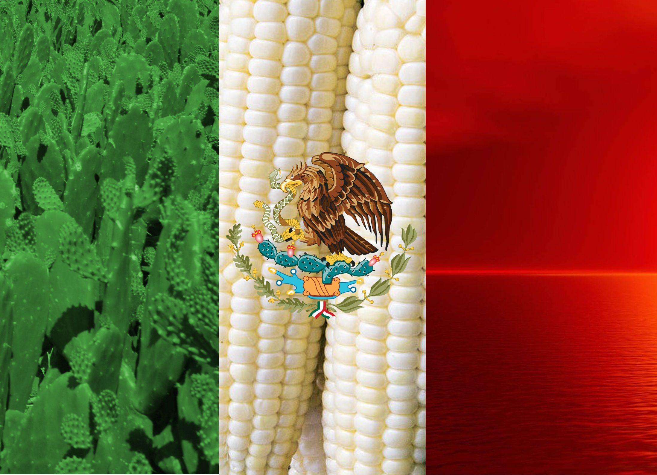 A proper Mexican flag wallpapers : wallpapers