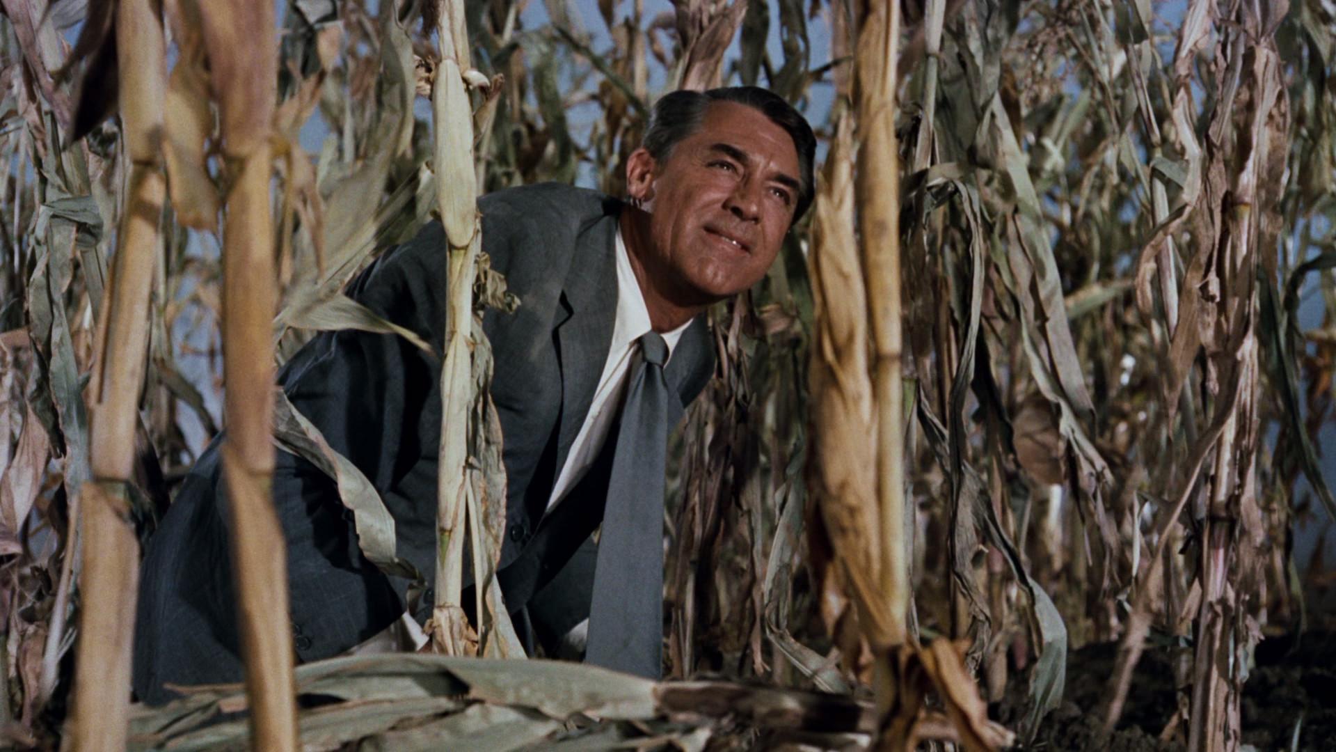 North by Northwest Blu