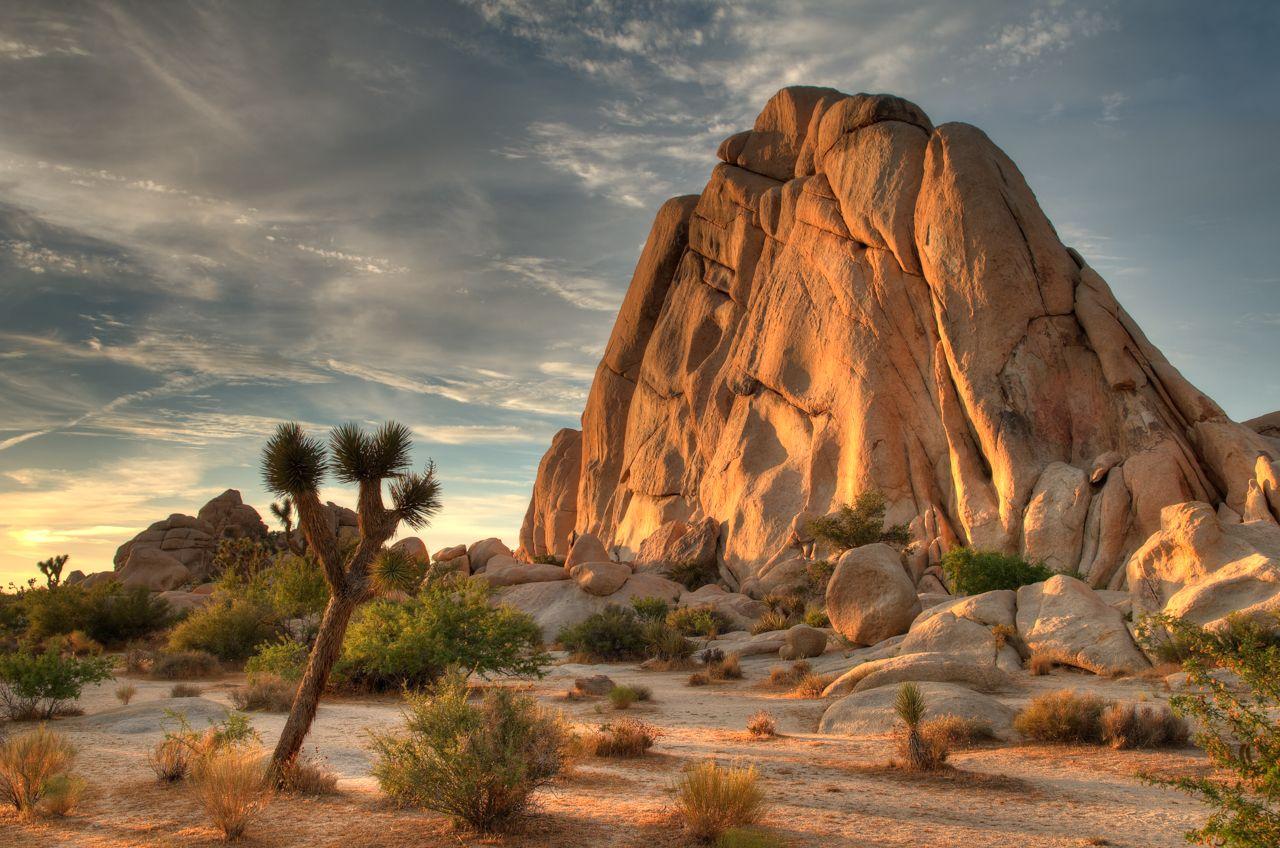 px Joshua Tree National Park