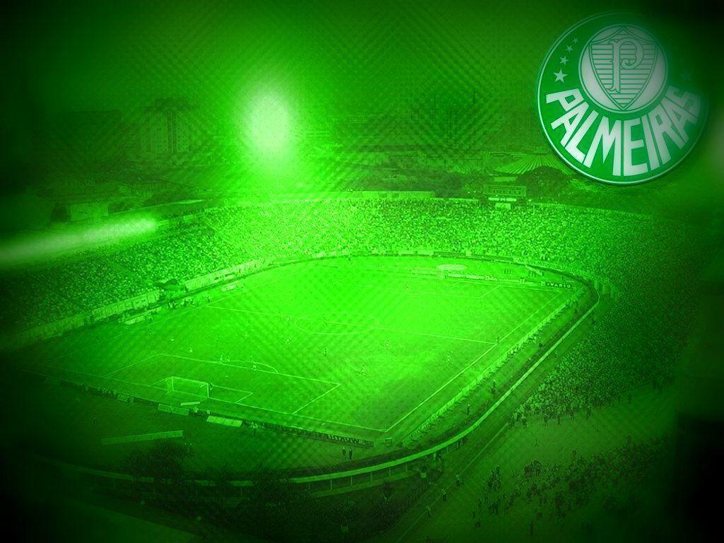 Palmeiras HD Wallpapers