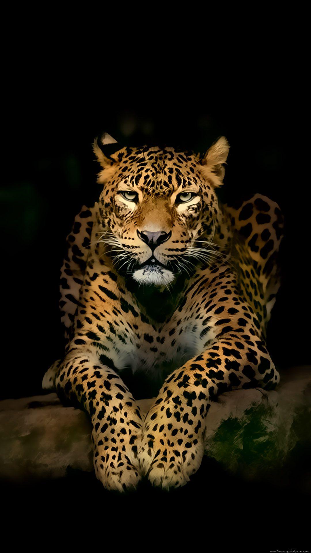 Serious Leopard Lockscreen preview and download