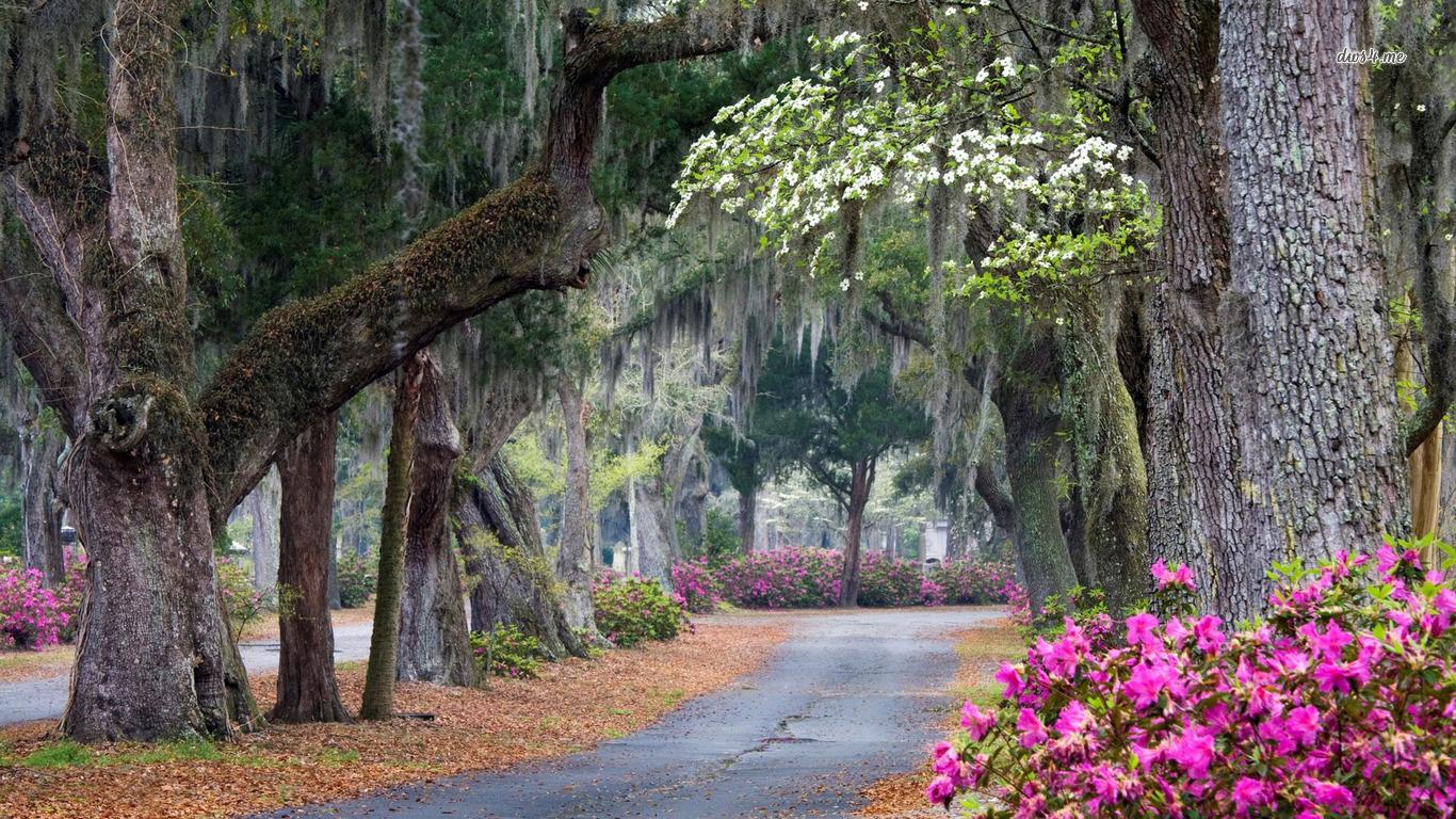 Savannah GA Desktop Wallpapers